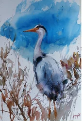 Aquarelle « Blue Heron »