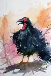 Oiseau noir appelant