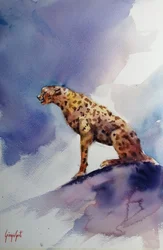 Guépard sur un rocher