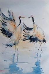 Les grues dansantes et l