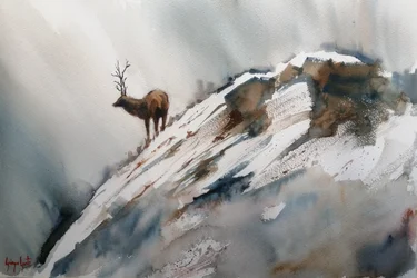 Un élan dans les montagnes en hiver