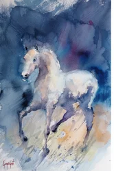 Un cheval blanc gracieux