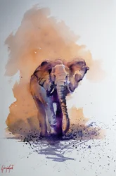 Le majestueux éléphant d