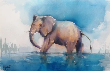 Un éléphant majestueux pataugeant