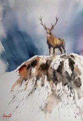 Un cerf majestueux dans les montagnes