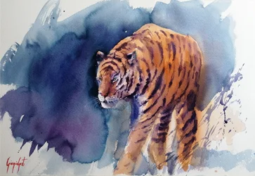 La démarche majestueuse du tigre