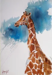 Une girafe majestueuse à l