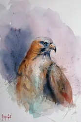 Un faucon majestueux à l
