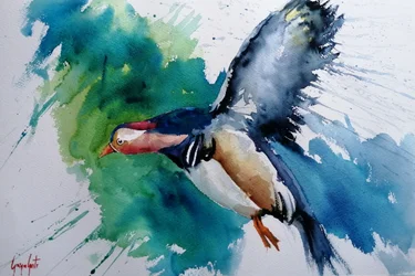 Canard mandarin en vol