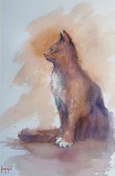 Profil du chat observateur