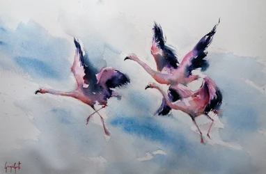 Des flamants roses en plein vol