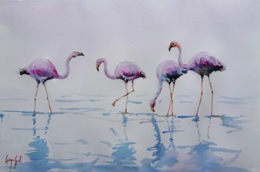 Des flamants roses pataugent