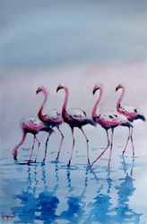 Des flamants roses pataugent