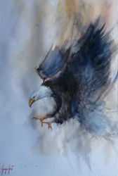 Le vol puissant de l