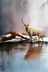 Cerf en hiver