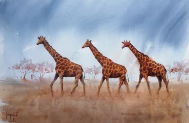 Trio de girafes Safari