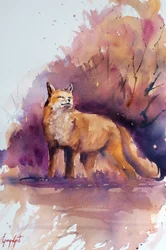 Renard des bois sereins