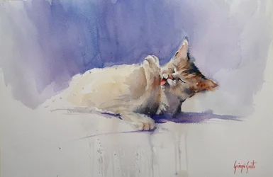 Un chat adorable qui se lèche