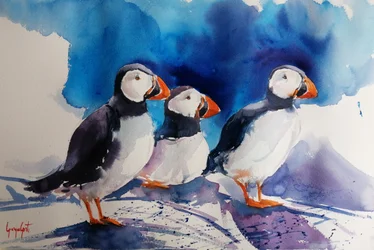 Aquarelle représentant trois macareux