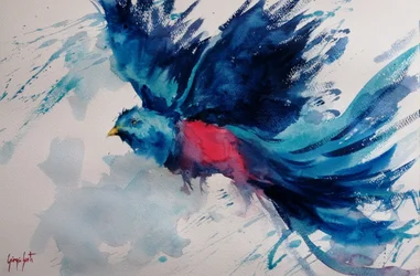 Oiseau en plein vol