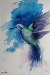Le vol éclatant du colibri