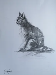 Le chat au charbon vigilant