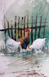 Poules de ferme à l