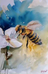 Abeille sur une fleur, aquarelle