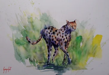Aquarelle : Guépard sauvage