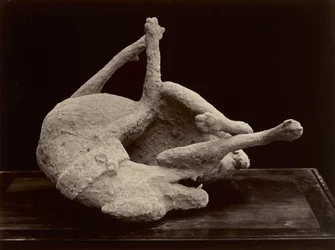 Chien, Pompéi, vers 1870