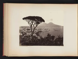 Vue de Naples, Italie, avec un pin au premier plan