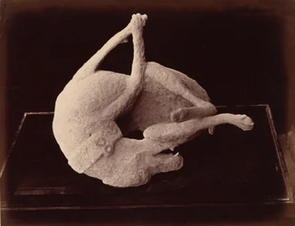 Moulage, Pompéi, c. 1870 (photo)