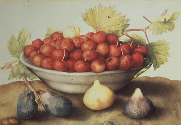 Un Bol de Cerises et de Figues