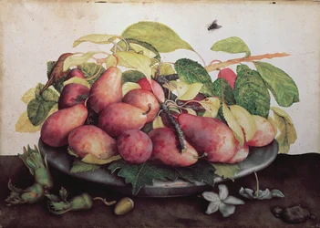 Poires avec aubépines