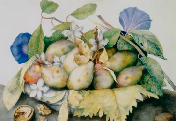 Assiette de prunes, jasmin et noix