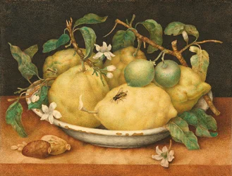 Nature morte avec bol de citrons