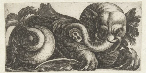Éléphant de mer avec des oreilles de feuilles