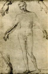 Étude de modèle pour une Vierge Marie en tant que mater misericordiae