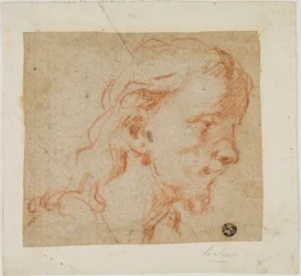 Tête du Christ, de profil trois-quarts, à droite