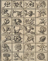 Essempio di recammi, page 10 verso