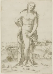 Vénus