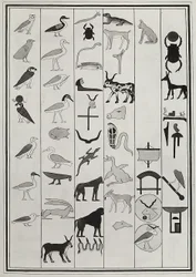 Dessins des décorations de l