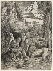 Saint Jérôme et le Lion, c.1509
