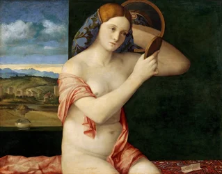 Jeune Femme Nue Devant un Miroir