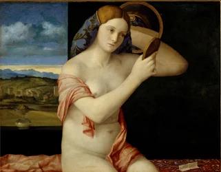 Jeune femme aux toilettes
