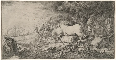 Les animaux allant vers l