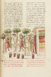 Décaméron, La jeune captive - Restituta Bolgaro et Giari di Procida au pilori , Cinquième journée, nouvelle 6.