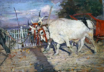 Chariot à bœufs