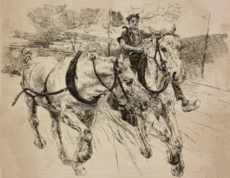 Chevaux de renfort, gravure d