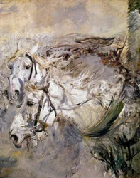 Deux chevaux blancs